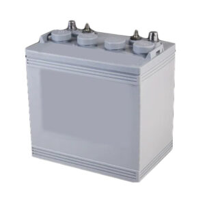 8V Golf Cart Battery